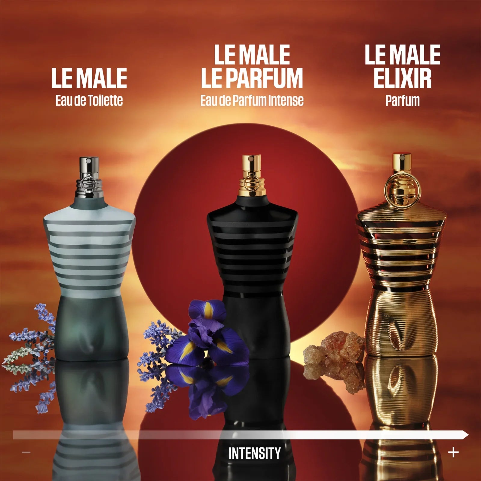 Le Male Elixir - EDP - 100ml