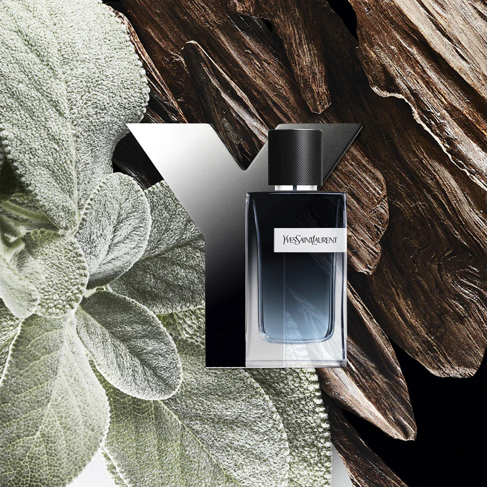 Y Men - EDP - 100ml (Copy)